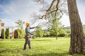 Best Tree Mulching Services  in Old Orchard, PA