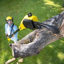 Best Lawn Mowing Services  in Old Orchard, PA